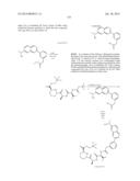 MACROCYCLIC INHIBITORS OF FLAVIVIRIDAE VIRUSES diagram and image