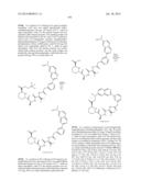 MACROCYCLIC INHIBITORS OF FLAVIVIRIDAE VIRUSES diagram and image