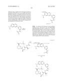 MACROCYCLIC INHIBITORS OF FLAVIVIRIDAE VIRUSES diagram and image