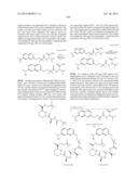 MACROCYCLIC INHIBITORS OF FLAVIVIRIDAE VIRUSES diagram and image