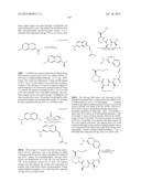 MACROCYCLIC INHIBITORS OF FLAVIVIRIDAE VIRUSES diagram and image