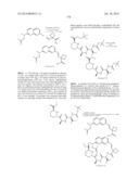 MACROCYCLIC INHIBITORS OF FLAVIVIRIDAE VIRUSES diagram and image