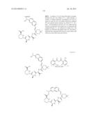 MACROCYCLIC INHIBITORS OF FLAVIVIRIDAE VIRUSES diagram and image