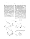 MACROCYCLIC INHIBITORS OF FLAVIVIRIDAE VIRUSES diagram and image