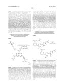 MACROCYCLIC INHIBITORS OF FLAVIVIRIDAE VIRUSES diagram and image