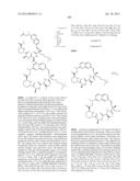 MACROCYCLIC INHIBITORS OF FLAVIVIRIDAE VIRUSES diagram and image