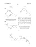 MACROCYCLIC INHIBITORS OF FLAVIVIRIDAE VIRUSES diagram and image