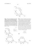 MACROCYCLIC INHIBITORS OF FLAVIVIRIDAE VIRUSES diagram and image