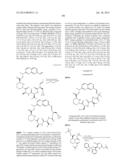 MACROCYCLIC INHIBITORS OF FLAVIVIRIDAE VIRUSES diagram and image