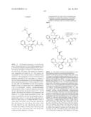 MACROCYCLIC INHIBITORS OF FLAVIVIRIDAE VIRUSES diagram and image