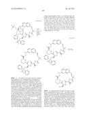 MACROCYCLIC INHIBITORS OF FLAVIVIRIDAE VIRUSES diagram and image