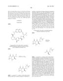 MACROCYCLIC INHIBITORS OF FLAVIVIRIDAE VIRUSES diagram and image