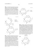 MACROCYCLIC INHIBITORS OF FLAVIVIRIDAE VIRUSES diagram and image