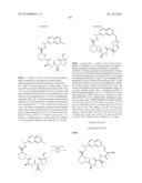 MACROCYCLIC INHIBITORS OF FLAVIVIRIDAE VIRUSES diagram and image