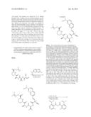 MACROCYCLIC INHIBITORS OF FLAVIVIRIDAE VIRUSES diagram and image