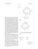 MACROCYCLIC INHIBITORS OF FLAVIVIRIDAE VIRUSES diagram and image