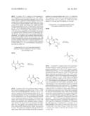 MACROCYCLIC INHIBITORS OF FLAVIVIRIDAE VIRUSES diagram and image