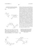 MACROCYCLIC INHIBITORS OF FLAVIVIRIDAE VIRUSES diagram and image