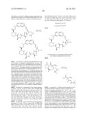 MACROCYCLIC INHIBITORS OF FLAVIVIRIDAE VIRUSES diagram and image