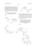 MACROCYCLIC INHIBITORS OF FLAVIVIRIDAE VIRUSES diagram and image