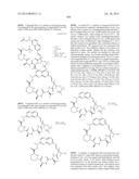 MACROCYCLIC INHIBITORS OF FLAVIVIRIDAE VIRUSES diagram and image