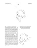 MACROCYCLIC INHIBITORS OF FLAVIVIRIDAE VIRUSES diagram and image