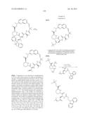 MACROCYCLIC INHIBITORS OF FLAVIVIRIDAE VIRUSES diagram and image