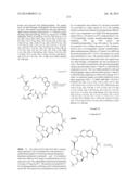 MACROCYCLIC INHIBITORS OF FLAVIVIRIDAE VIRUSES diagram and image