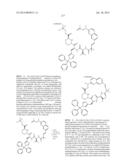 MACROCYCLIC INHIBITORS OF FLAVIVIRIDAE VIRUSES diagram and image