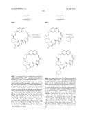 MACROCYCLIC INHIBITORS OF FLAVIVIRIDAE VIRUSES diagram and image