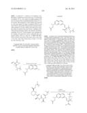 MACROCYCLIC INHIBITORS OF FLAVIVIRIDAE VIRUSES diagram and image