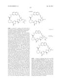 MACROCYCLIC INHIBITORS OF FLAVIVIRIDAE VIRUSES diagram and image