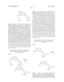 MACROCYCLIC INHIBITORS OF FLAVIVIRIDAE VIRUSES diagram and image