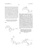 MACROCYCLIC INHIBITORS OF FLAVIVIRIDAE VIRUSES diagram and image