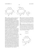 MACROCYCLIC INHIBITORS OF FLAVIVIRIDAE VIRUSES diagram and image