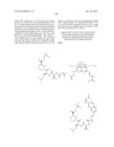 MACROCYCLIC INHIBITORS OF FLAVIVIRIDAE VIRUSES diagram and image