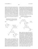 MACROCYCLIC INHIBITORS OF FLAVIVIRIDAE VIRUSES diagram and image