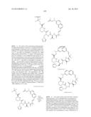 MACROCYCLIC INHIBITORS OF FLAVIVIRIDAE VIRUSES diagram and image