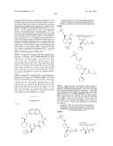 MACROCYCLIC INHIBITORS OF FLAVIVIRIDAE VIRUSES diagram and image