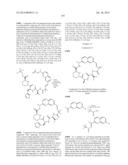 MACROCYCLIC INHIBITORS OF FLAVIVIRIDAE VIRUSES diagram and image