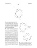 MACROCYCLIC INHIBITORS OF FLAVIVIRIDAE VIRUSES diagram and image