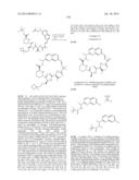 MACROCYCLIC INHIBITORS OF FLAVIVIRIDAE VIRUSES diagram and image