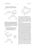 MACROCYCLIC INHIBITORS OF FLAVIVIRIDAE VIRUSES diagram and image