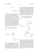 MACROCYCLIC INHIBITORS OF FLAVIVIRIDAE VIRUSES diagram and image