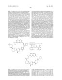 MACROCYCLIC INHIBITORS OF FLAVIVIRIDAE VIRUSES diagram and image