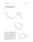 MACROCYCLIC INHIBITORS OF FLAVIVIRIDAE VIRUSES diagram and image