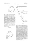 MACROCYCLIC INHIBITORS OF FLAVIVIRIDAE VIRUSES diagram and image