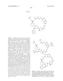 MACROCYCLIC INHIBITORS OF FLAVIVIRIDAE VIRUSES diagram and image