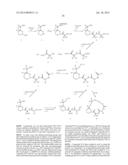 MACROCYCLIC INHIBITORS OF FLAVIVIRIDAE VIRUSES diagram and image