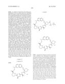 MACROCYCLIC INHIBITORS OF FLAVIVIRIDAE VIRUSES diagram and image